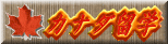 カナダ留学 TOP PAGEへ