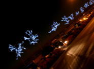 クリスマス用に電飾された街路樹。なんとなく星座みたいやわ。